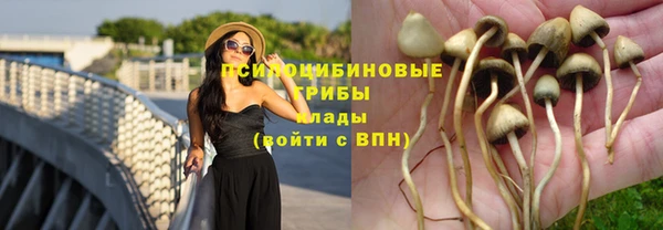 мяу мяу мука Сосновый Бор