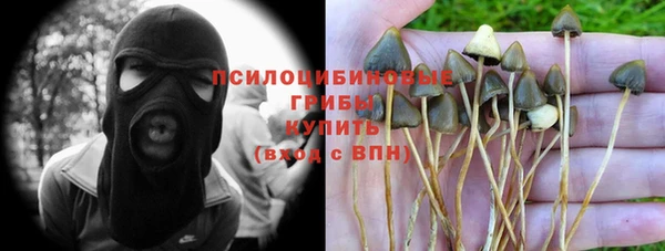 индика Заволжье