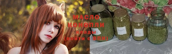 индика Заводоуковск