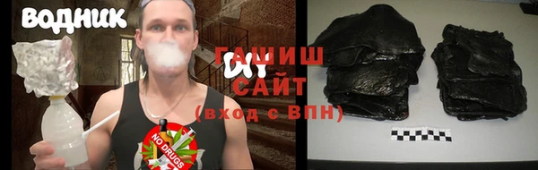 индика Заводоуковск