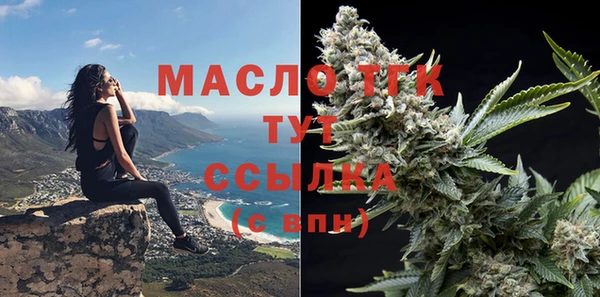 индика Заволжье