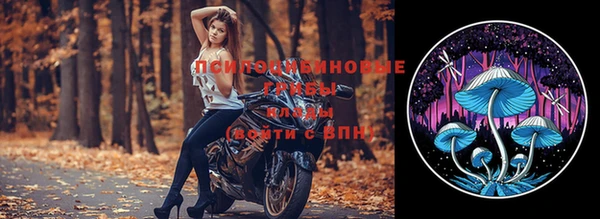 твердый Сосновоборск