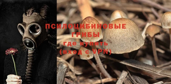 2c-b Барнаул