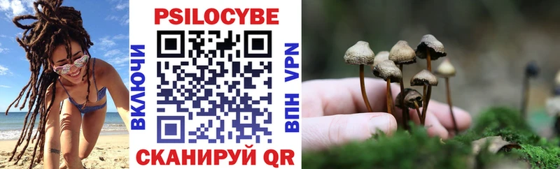 Псилоцибиновые грибы MAGIC MUSHROOMS  Новомичуринск 